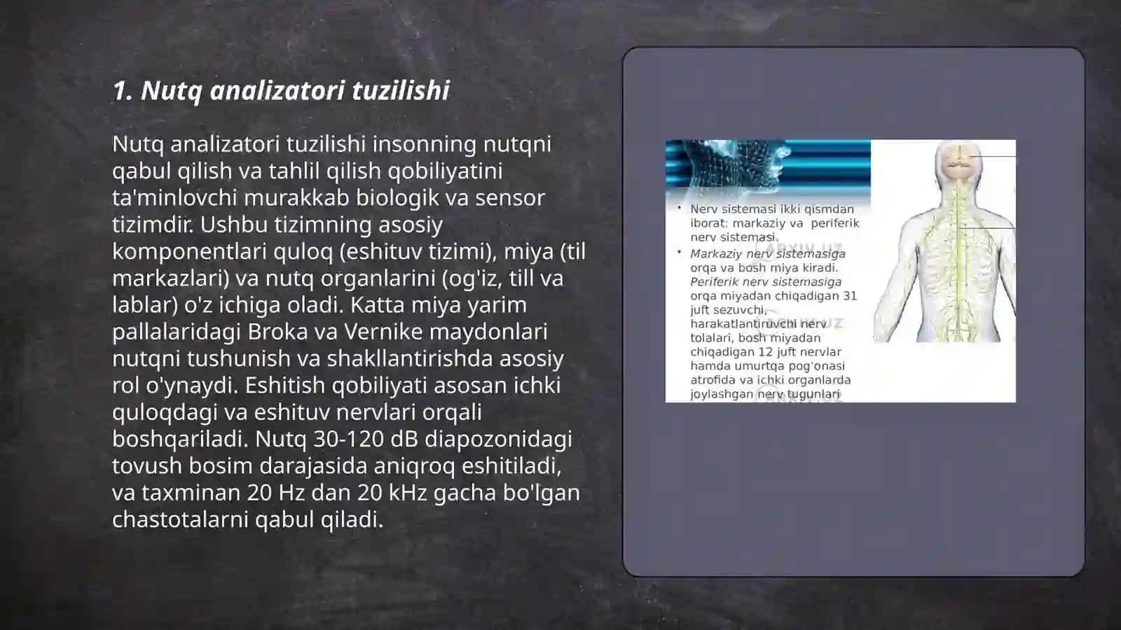 Nutq analizatorining markaziy va periferik qism faoliyati 3