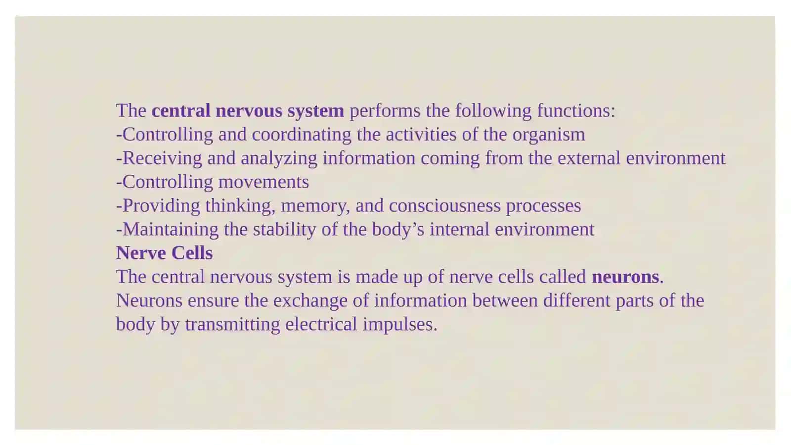 The central nervous system 3