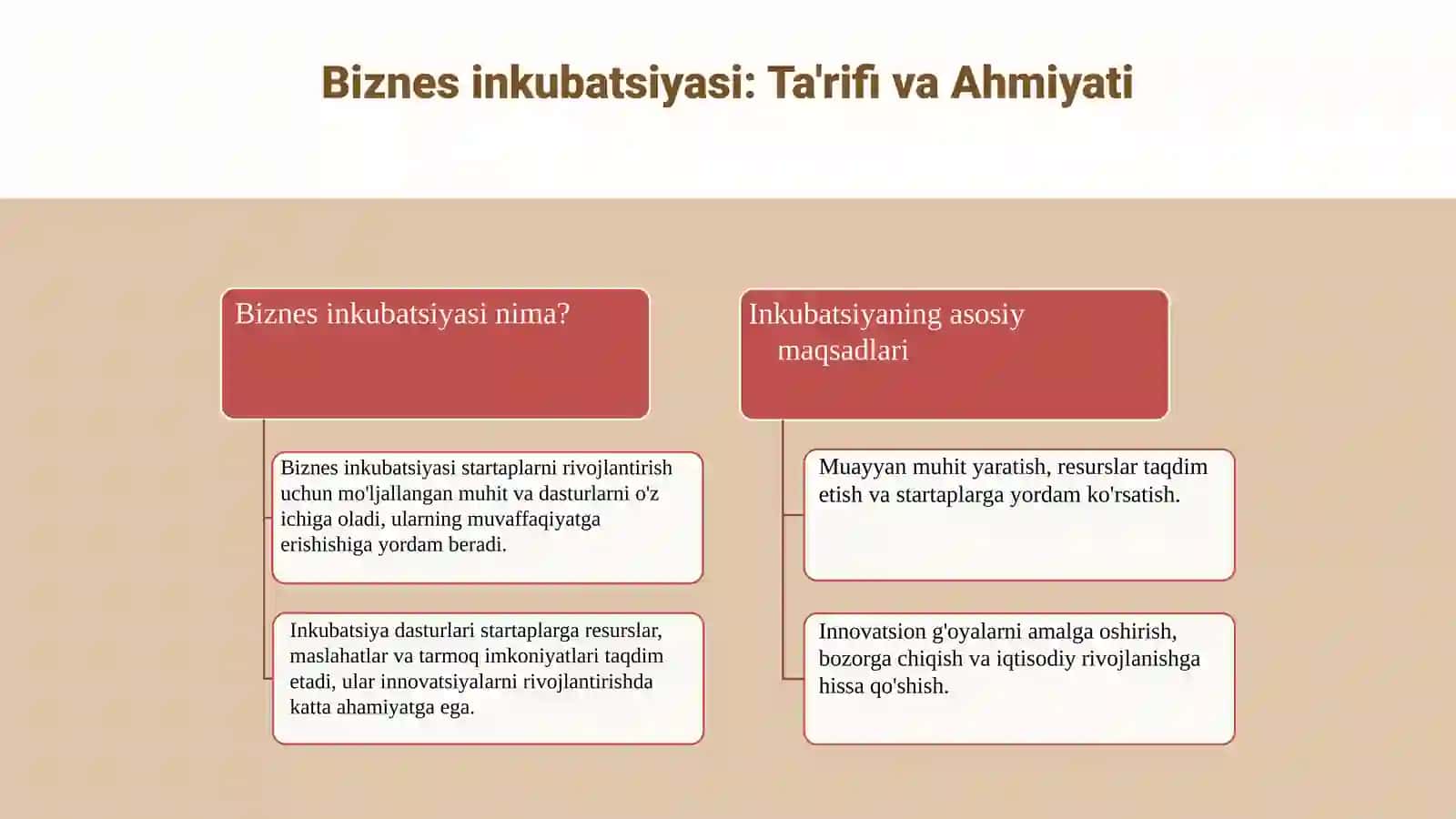 Biznes inkubatsiya va akseleratsiya dasturlari 3