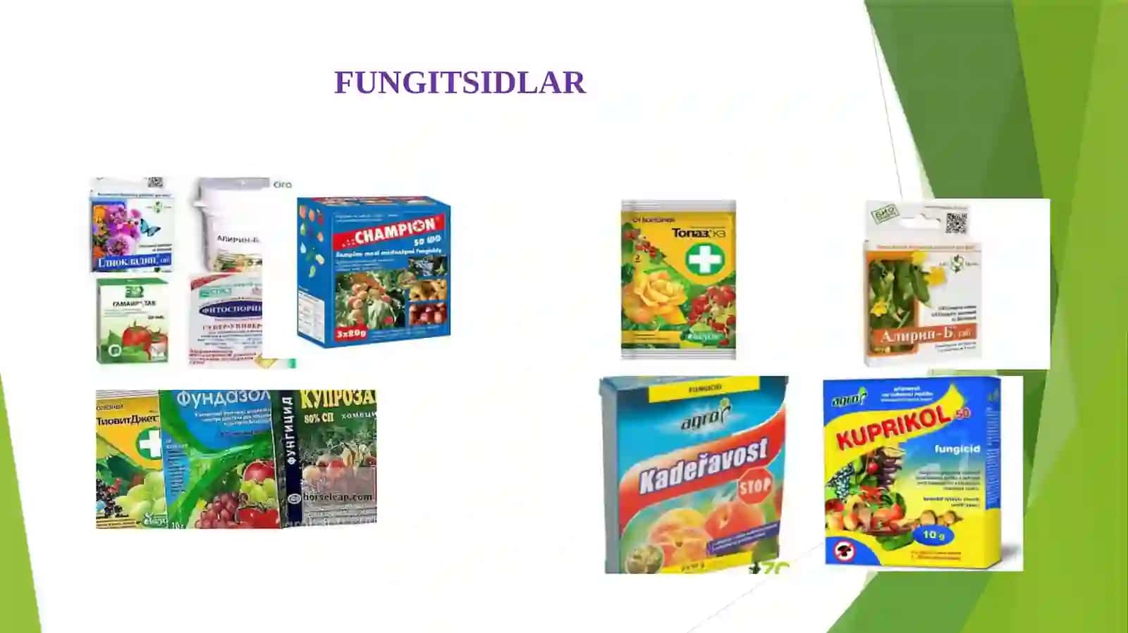 QISHLOQ XO‘JALIK EKINLARI VA NOMETALL MATERIALLARNI ZAMBURUG‘LARDAN HIMOYALOVCHI KIMYOVIY MODDALAR 3