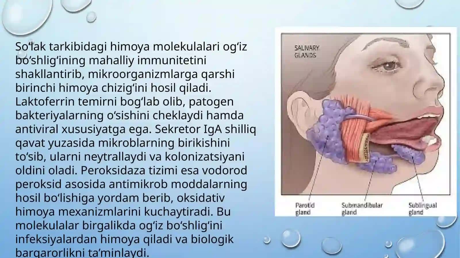 Salivodiagnostika 3