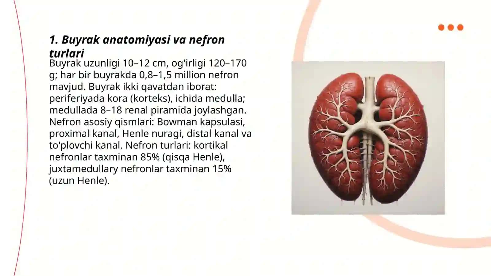 Buyrak fiziologiyasi 3