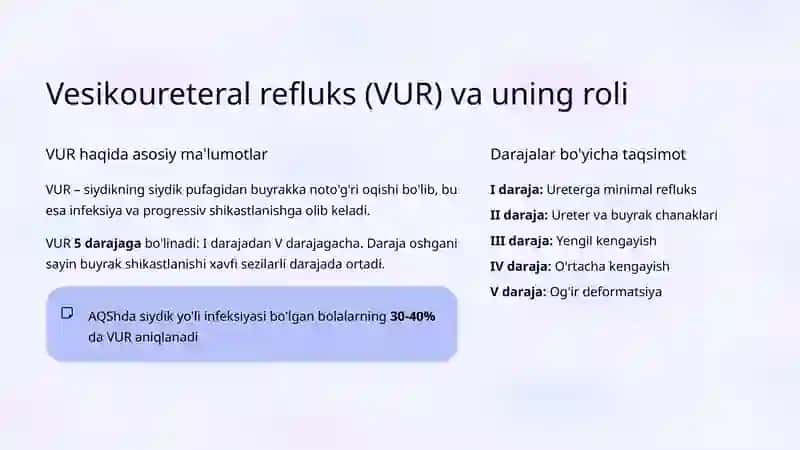Surunkali pielonefrit 3