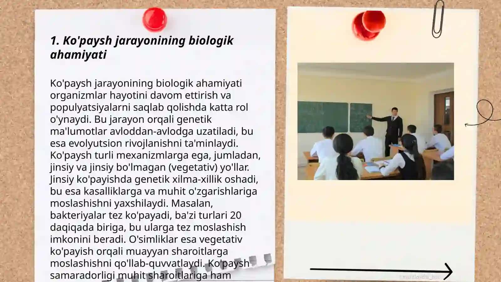 Ko'payish jarayonlar va organlarning xususiyatlari 3
