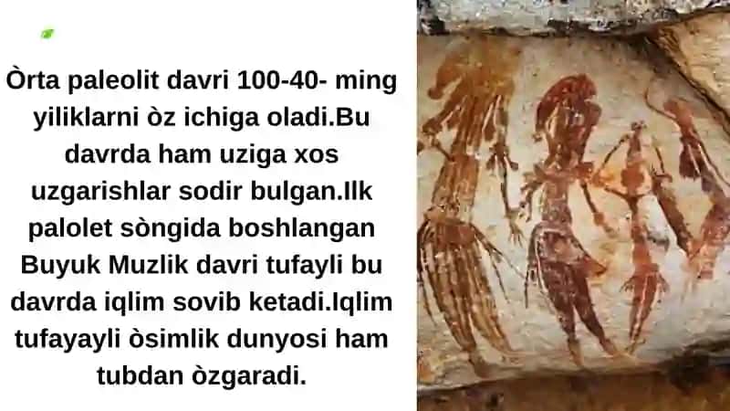 Òrta paleolit davri manzilgohlari 3