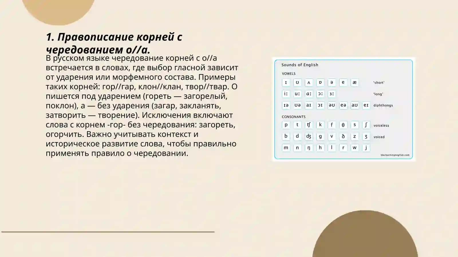 Правописание чередующихся гласных в корне слова 3
