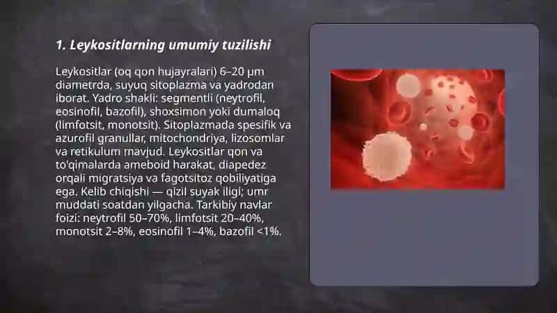 Leykositlarning tuzilishi 3