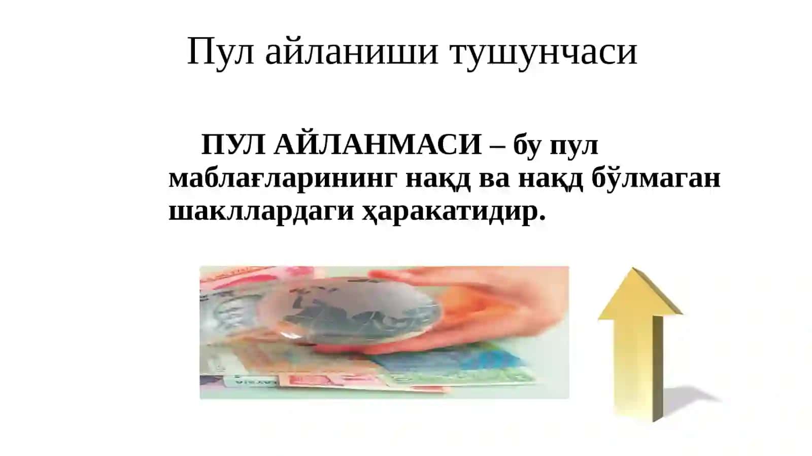 Pul aylanmasi 3