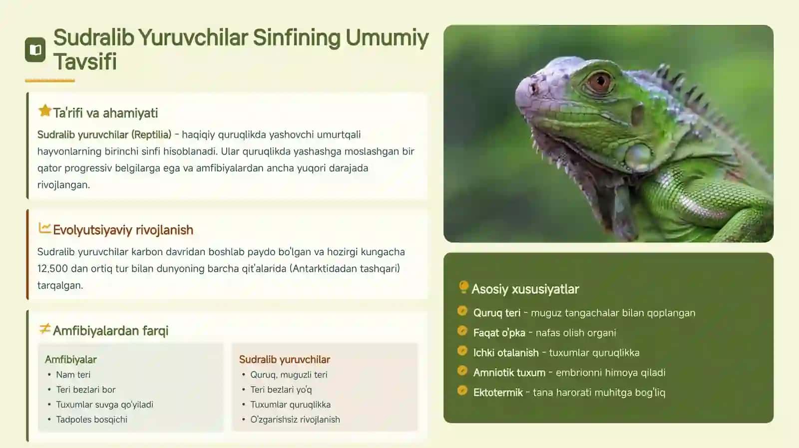 Sudralib Yuruvchilar Sinfini 3