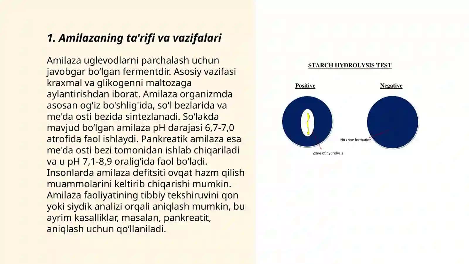 Amilazaning ta'rifi va vazifalari 3