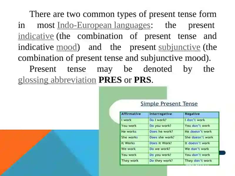 THE PRESENT SIMPLE TENSE 3