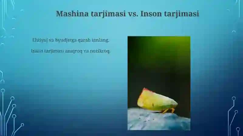 Mashina tarjimasi vs. Inson tarjimasi 3