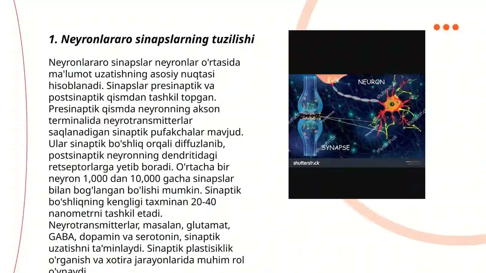 Neyronlarning o'zaro ta'siri 3