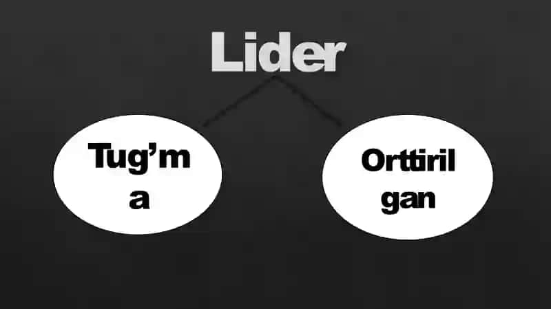 Liderlik 3
