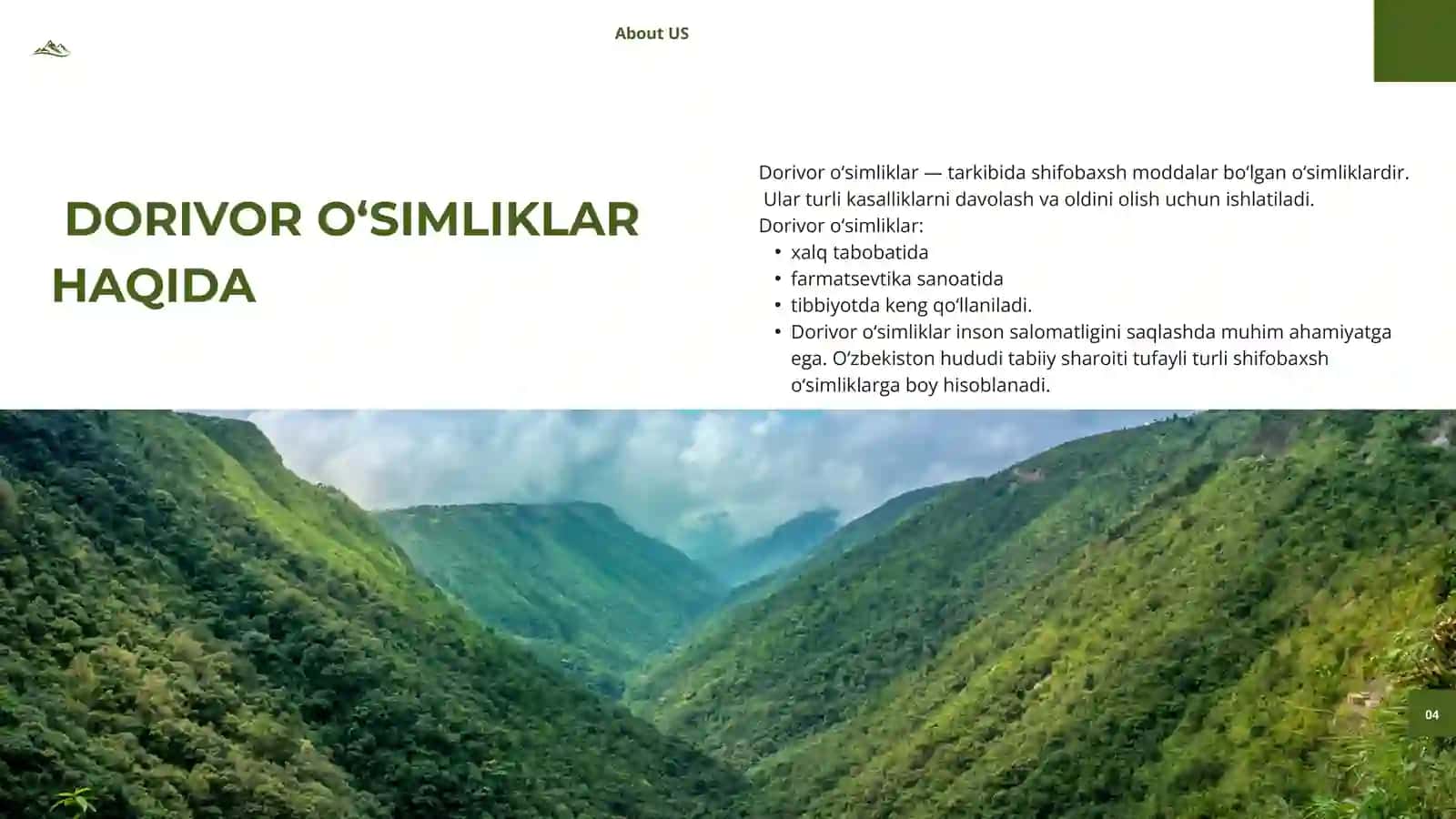 O’zbekistonda uchraydigan o’simliklar 3