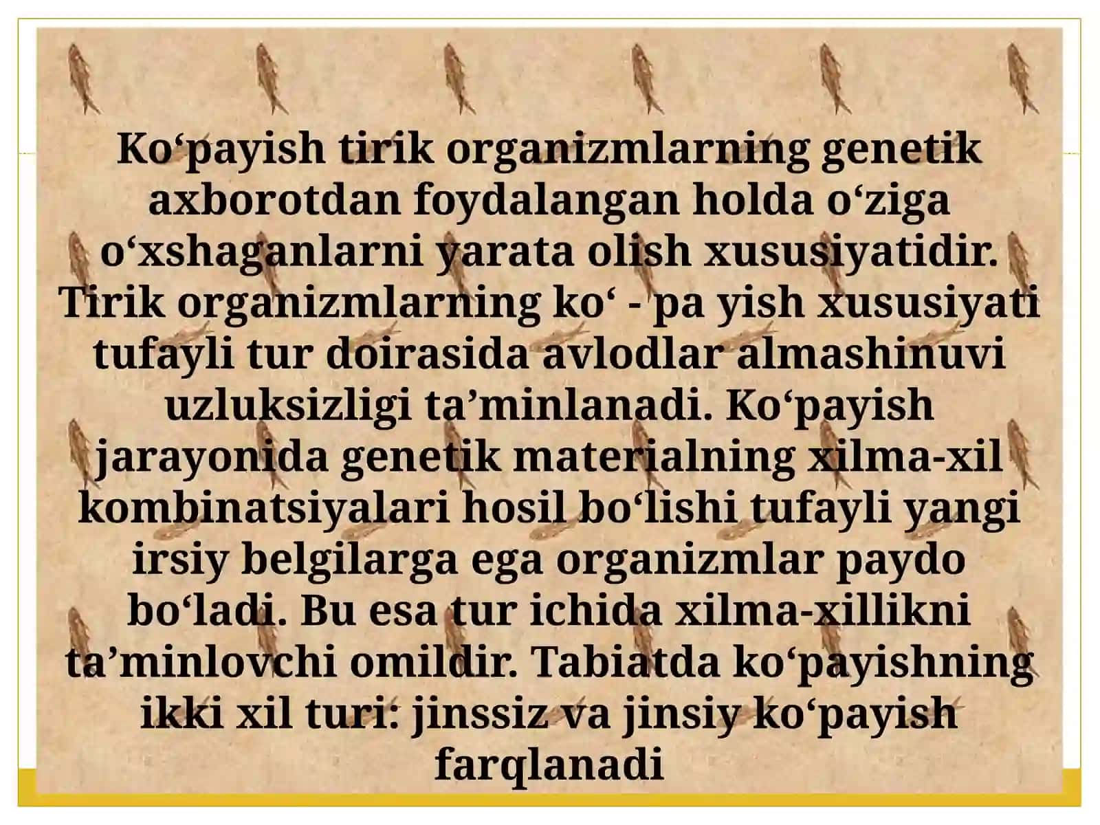 Ontogenez bosqichlari 3