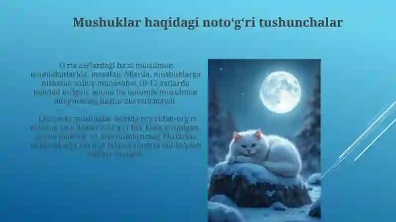 Mushuklar haqida 3
