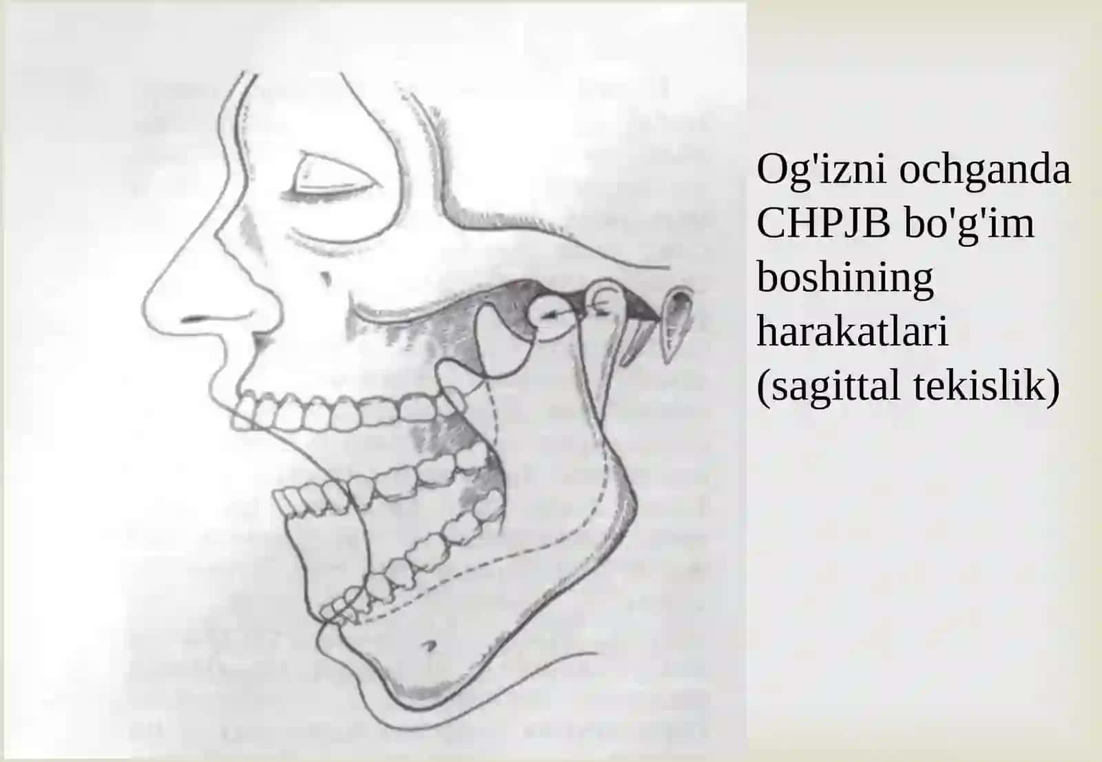 Pastki jag’ harakatlari biomexanikasi. 3
