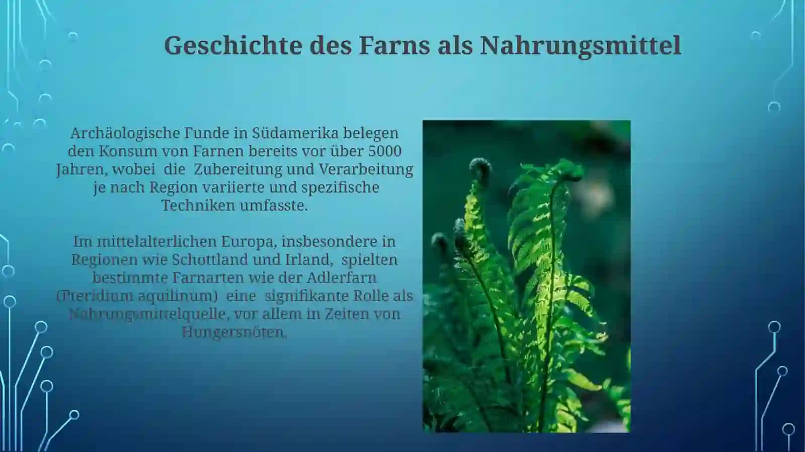 Fernkonsumunin rixslari va kamchiliklari 3