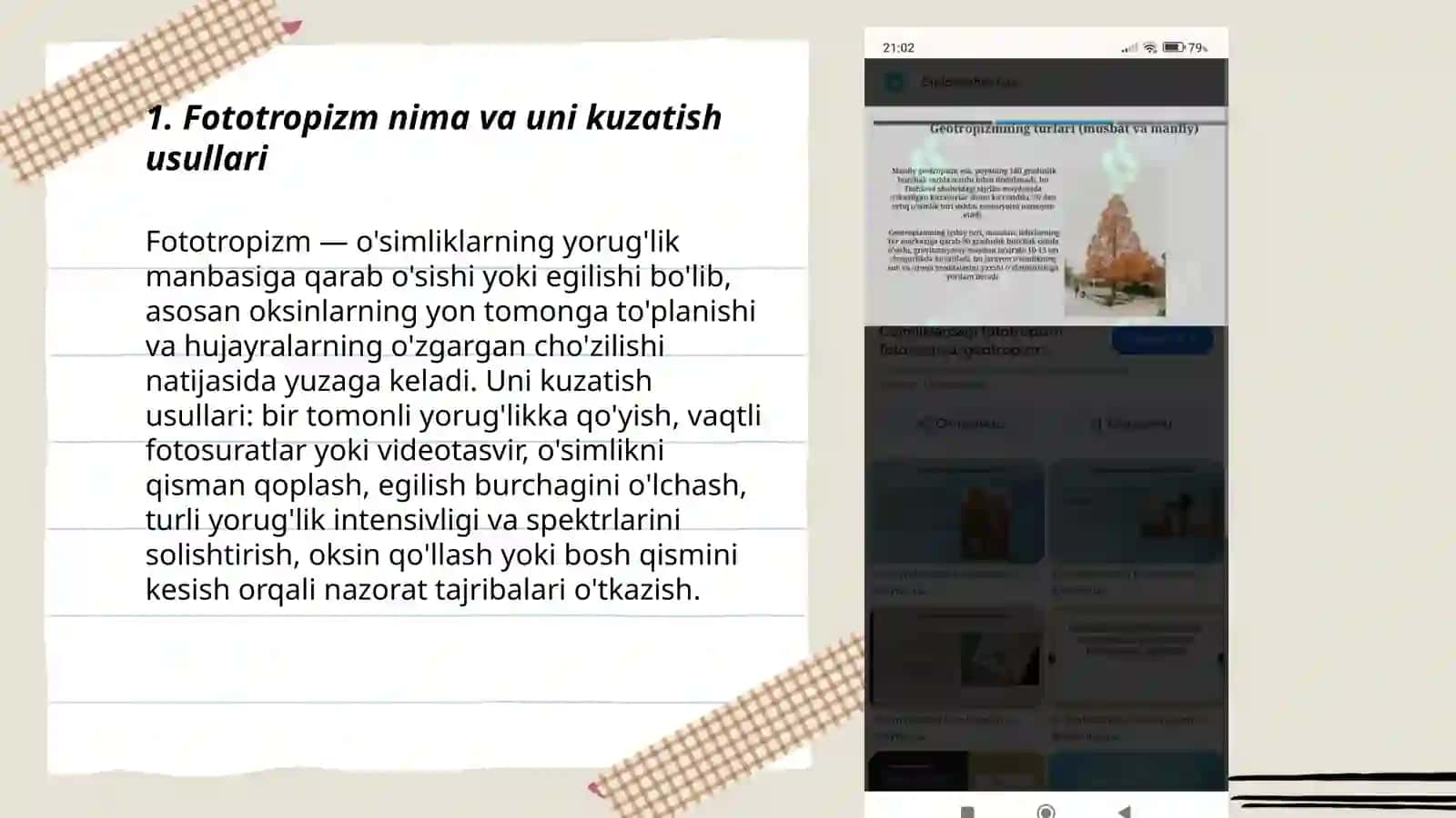 Õsimliklardagi fototropizm, fotonastiya va geotropizm hodisalarini kuzatish 3