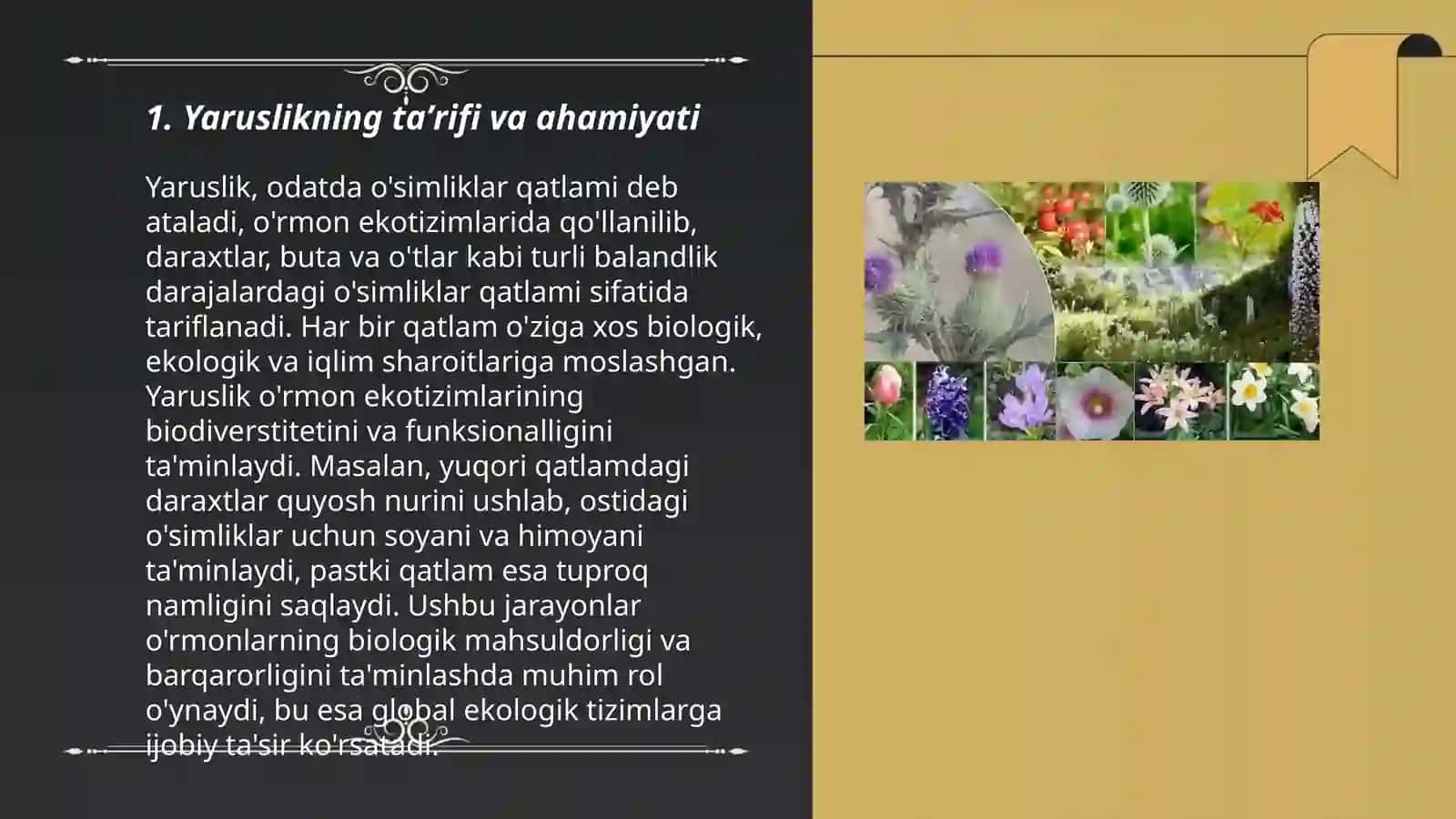 Yaruslikni mintaqalar boʻylab tarqalishini qiyosiy tahlil qilish 3