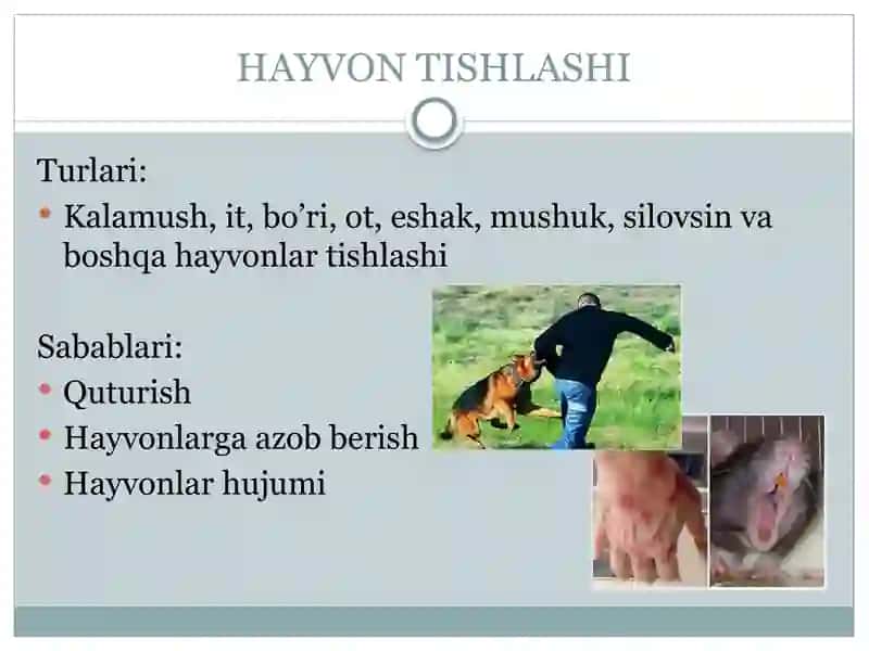 HAYVON TISHLASHI, ILON VA QUMURSQALAR CHAQISHIDA TIBBIY YORDAMNI TA’MINLASH 3