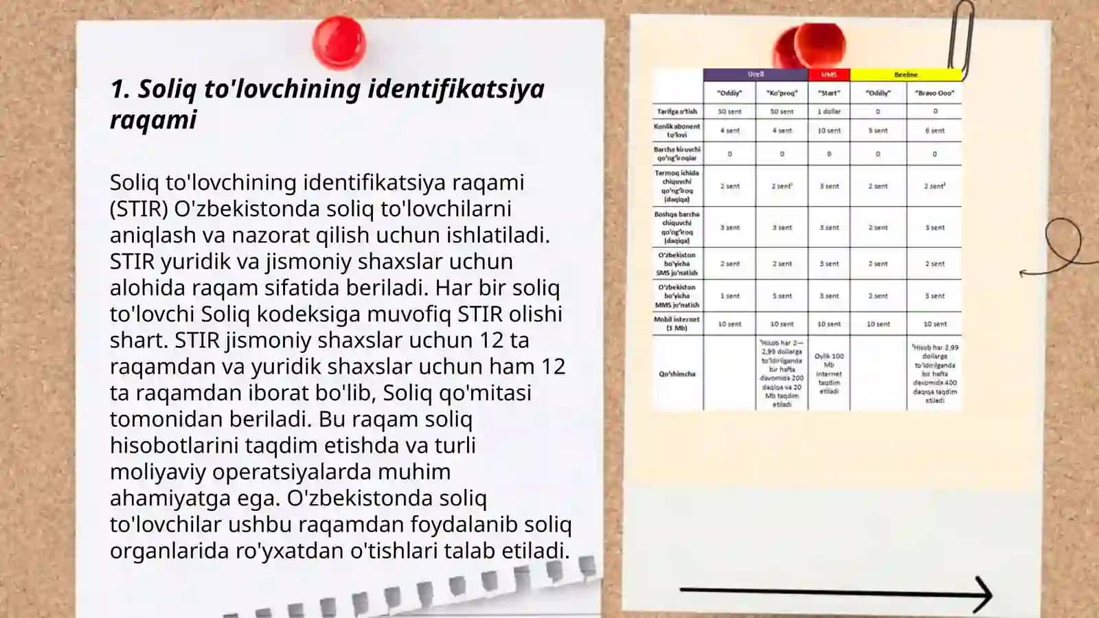 Soliq to'lovchi to'grisidagi hisob ma'lumotlari 3