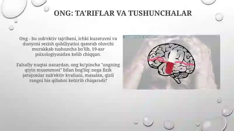 Ongning vujudga kelish va rivojlanishi 3
