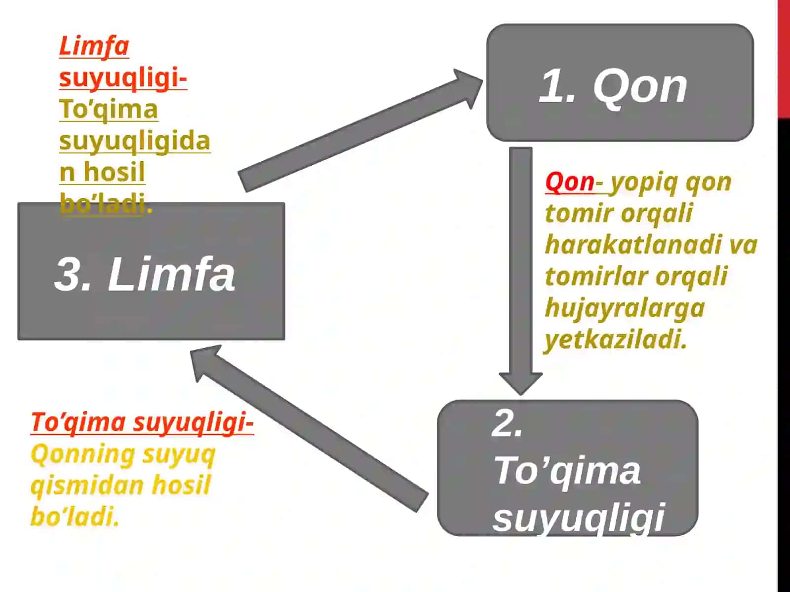 Ma’ruza mavzusi: Gomeostaz. Organizm biologik suyuqliklari. Qonning fizik-kimyoviy xossalari 3