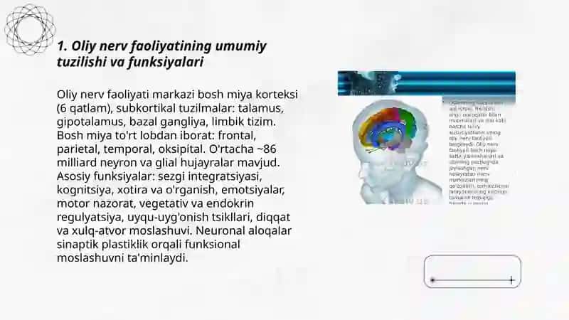 Oliy nerv faoliyati normal funksiyasi va inson salomatligi 3