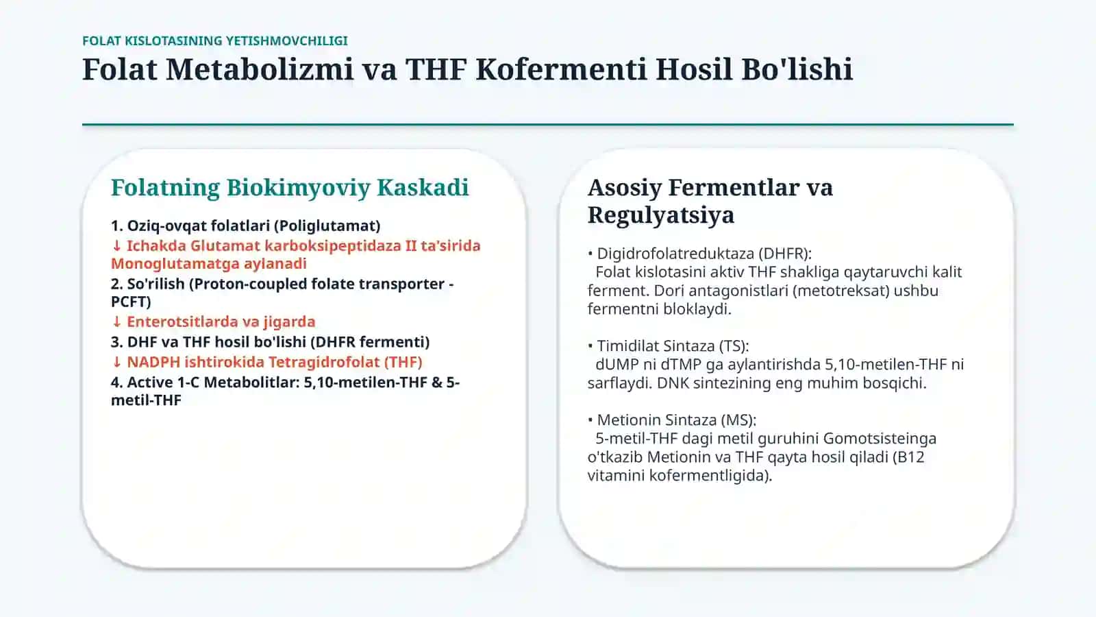 Folat kislotasi yetishmovchiligi — 15 slayd 3