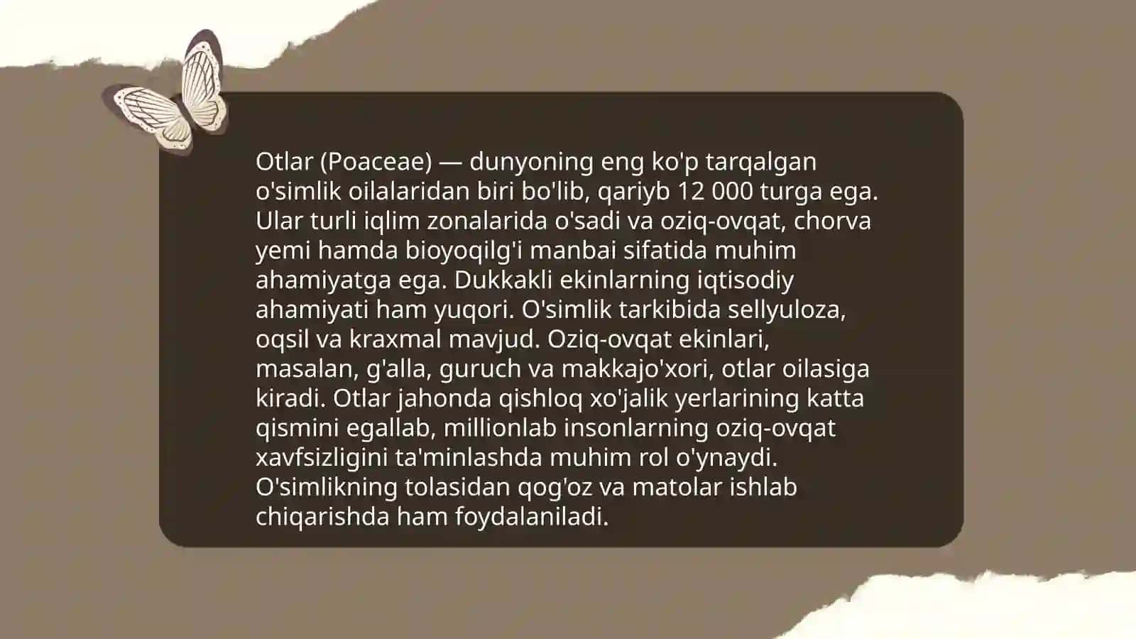 Morfologiya. Sóz turkumlari 3
