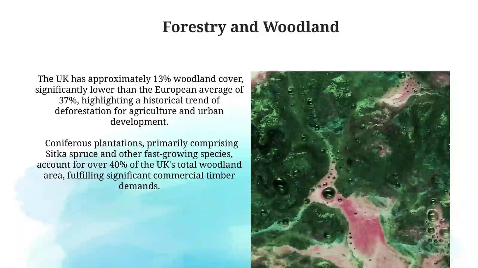 Forestry and Woodland in the United Kingdom 3