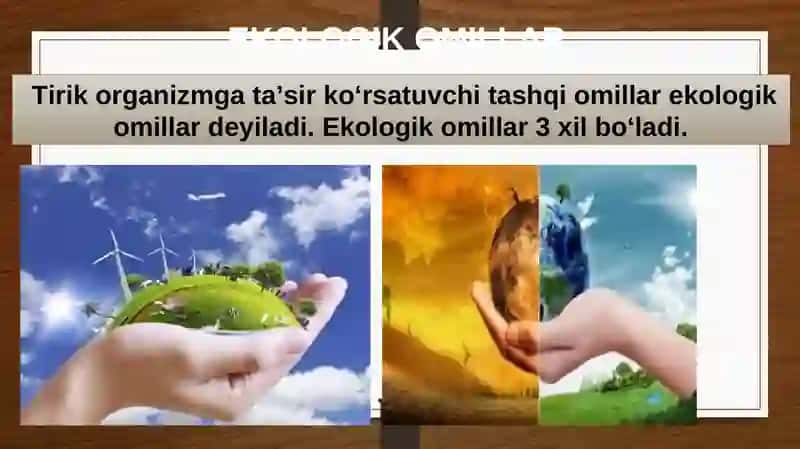 EKOLOGIK OMILLAR 3