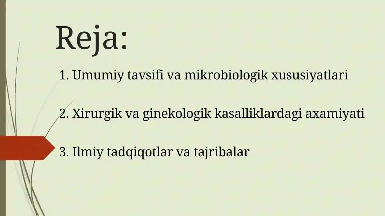 Shartli patogen anaerobkokklarni (peptokokklar, peptostreptokokklar, veylonellalar) ularni xirurgik va ginekologik kasalliklardagi ahamiyati 3