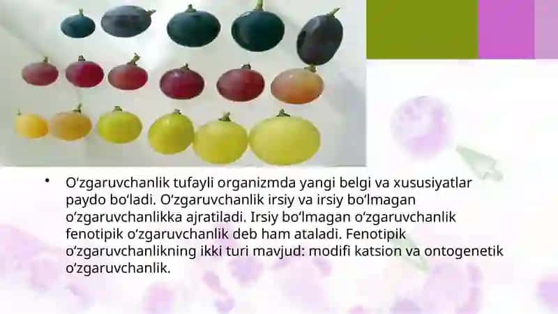 O‘zgaruvchanlikning umumiy qonuniyatlari 3