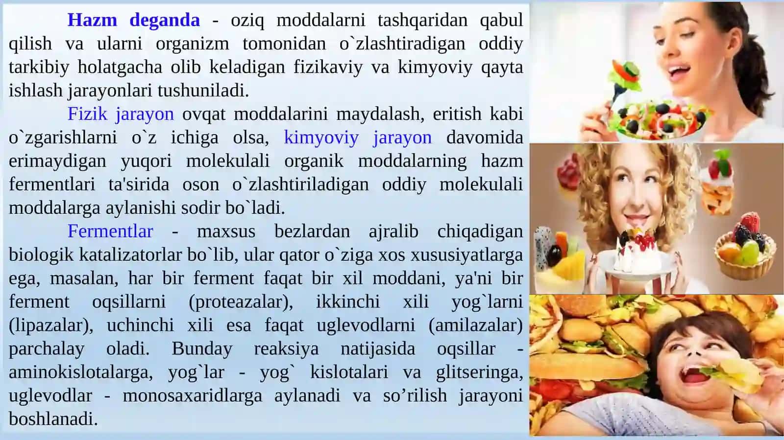 Ovqat hazm qilish tizimi fiziologiyasi 3