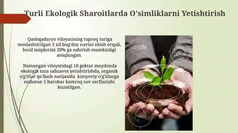 Turli Ekologik Sharoitlarda O'simliklarni Yetishtirish 3