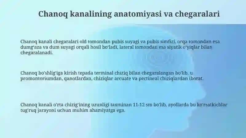 Chovkanalianatomiyasi 3
