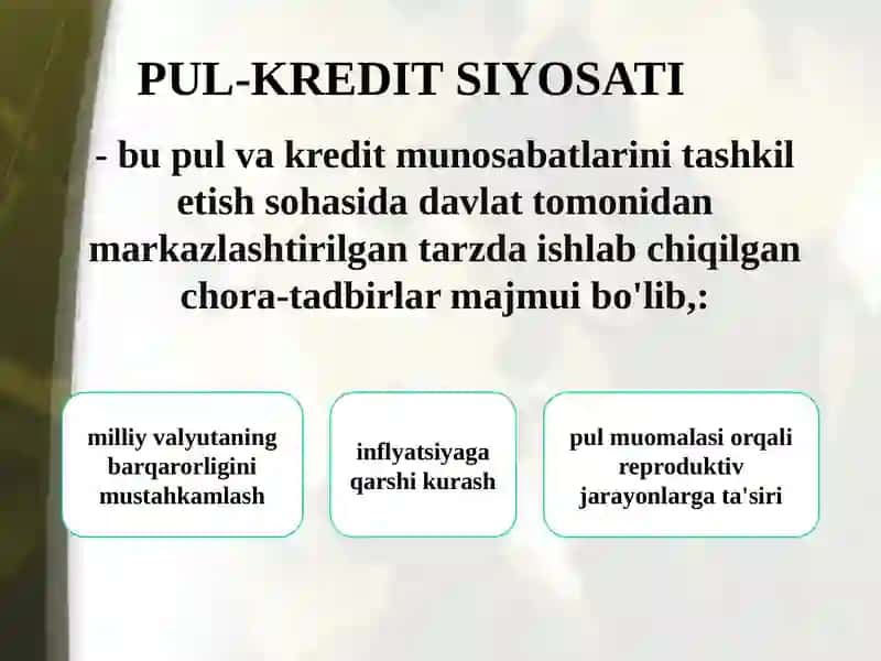 Pul-kredit siyosati 3