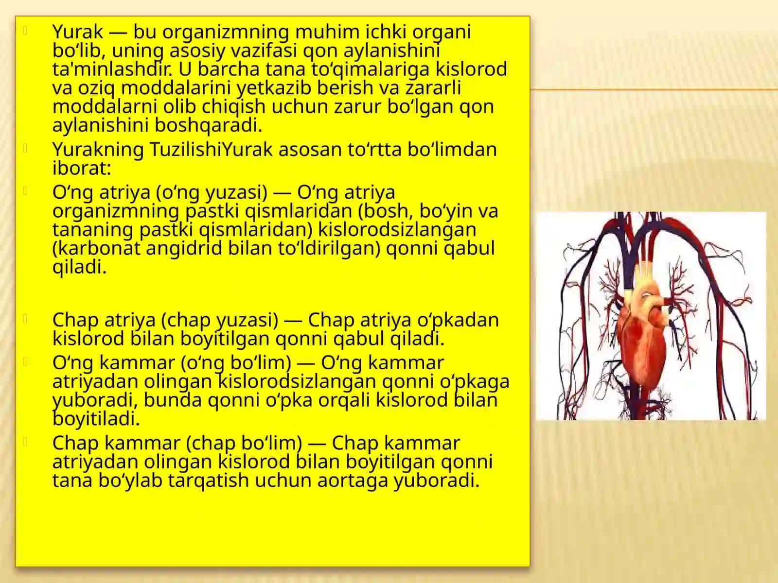 Yo’ldosheva Farangizning Narmal fiziologiyafanidan 3