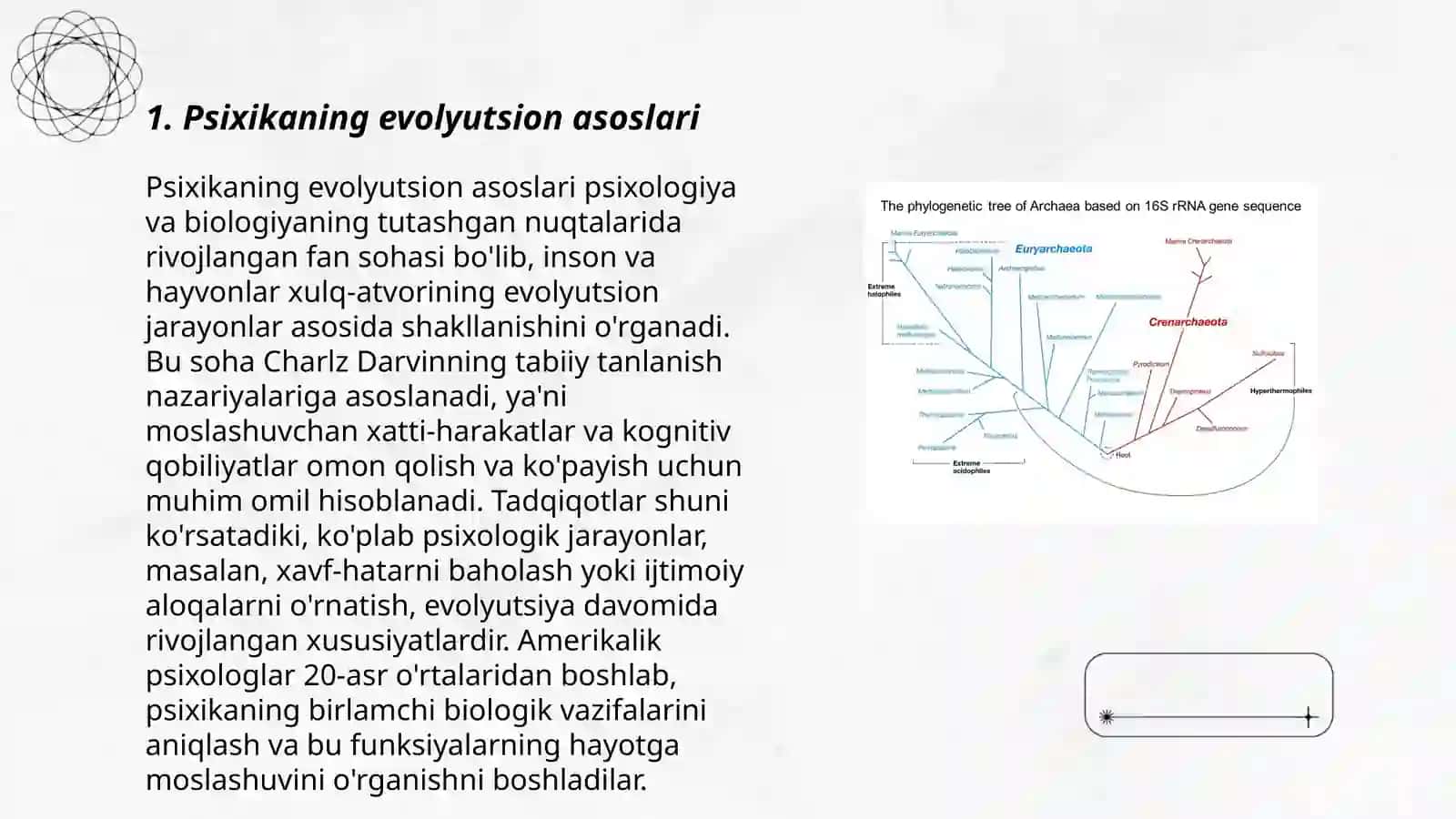 Psixikaning filogenetik taraqqiyoti Dadajonova Safuraxon 3