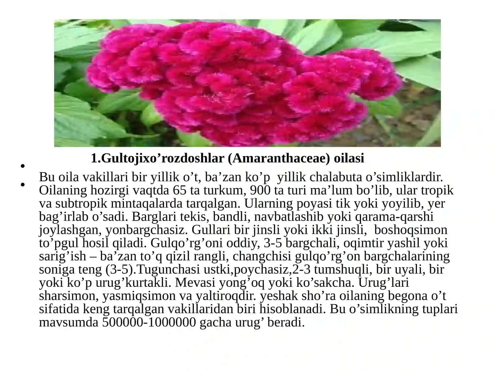 GULTOJIXO’ROZDOSHLAR (AMARANTHACEAE), SHO’RADOSHLAR (CHENOPODIACEAE) TURKUMI TURLARI NOMENKLATURASINI TAHLILI VA O’RGANISH QOIDALARI 3