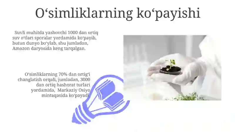 O'simliklar dunyosi va ularni hayot tarzi haqida bilimlarni bilib olish va tahlil qilish 3