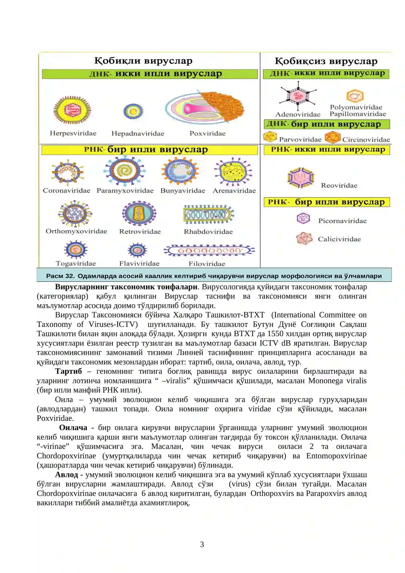 Умумий вирусалогия, вирусларни таснифи, вирусларнинг морфологияси, стуруктураси, репродукцияси. Вирусларни купайтириш усуллари. Вирусли юкумли касалликларга ташхис куйиш. Бактериофаглар 3