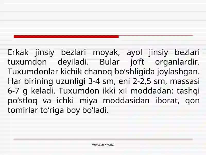 Yosh fiziologiyasi va gigiyenasi fanidan taqdimot ishi 3