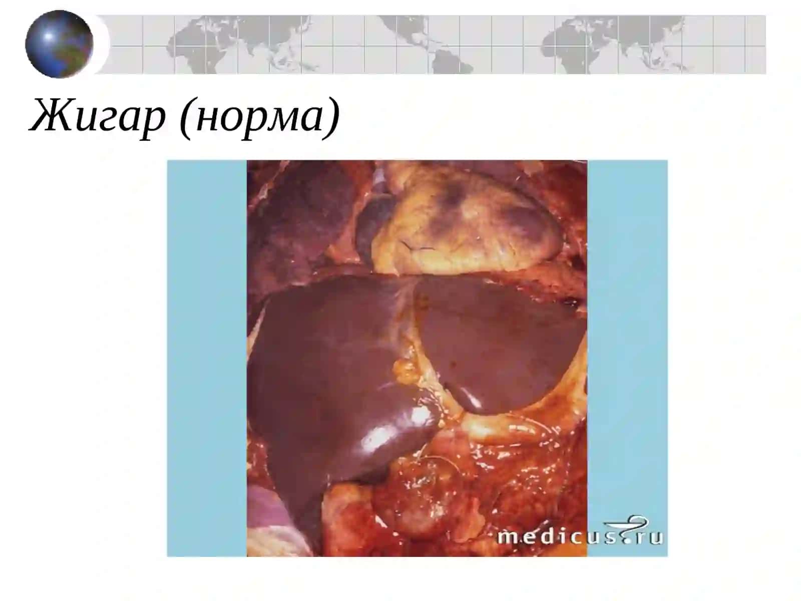 СУРУНКАЛИ ГЕПАТИТ 3