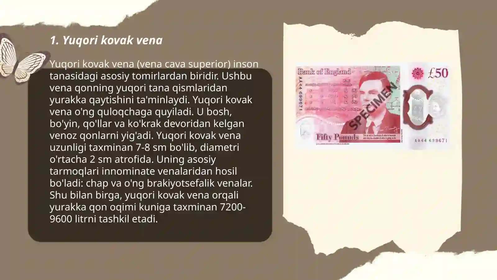 Yuqori kovak vena 3