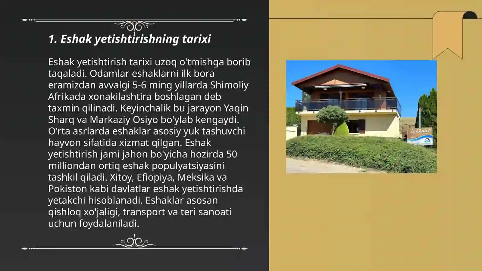 Eshak yetishtirishning tarixi 3