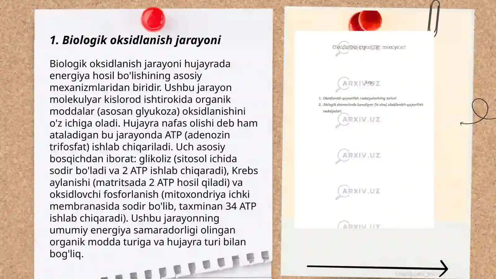 Biologik oksidlanish 3